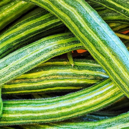 Sweet Corn & Cuc Salad
