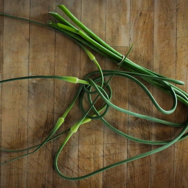 Garlic Scapes