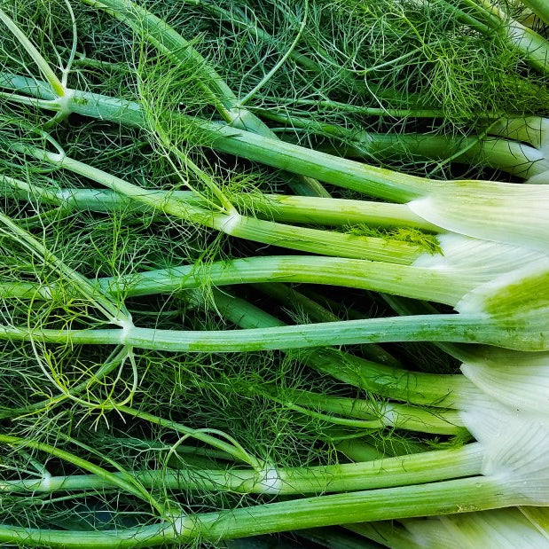 Italian Style Baked Fennel