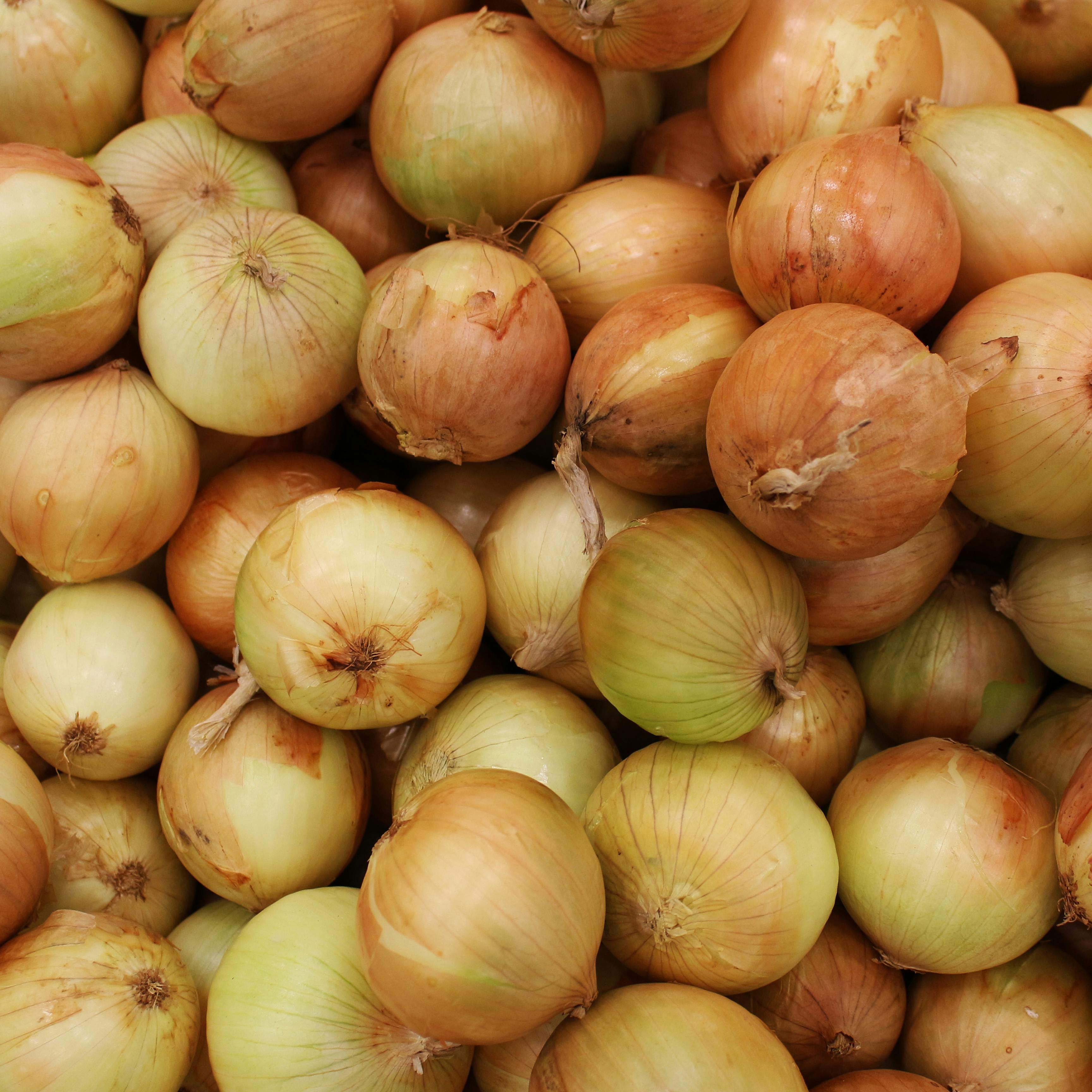 Refarmery’s Candy Yellow Onion