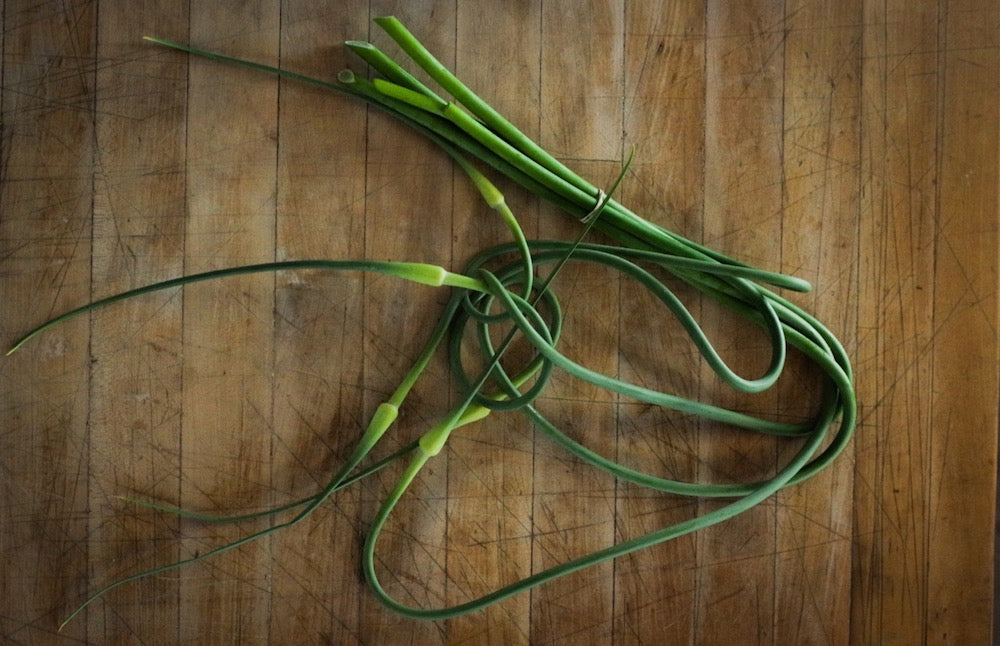 Garlic Scapes