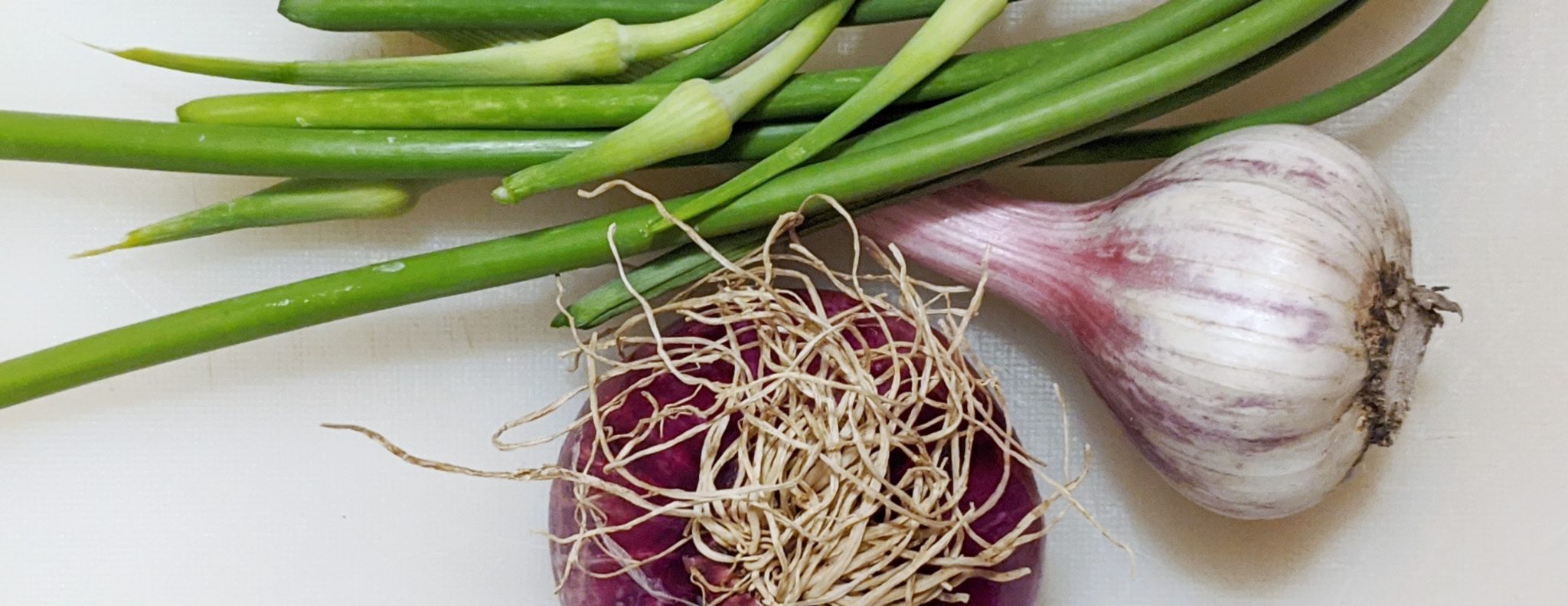 Garlic and onions and shallots, oh my!