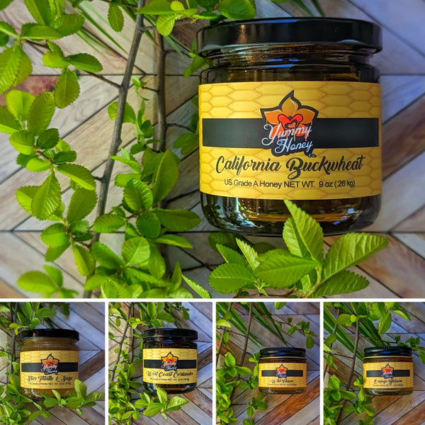 Honey By Yummy Honey Co – Goodful